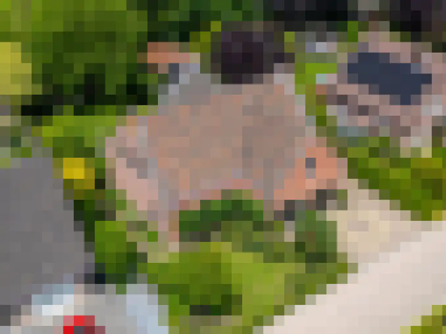 Warande 13 Rijsbergen thumbnail 61