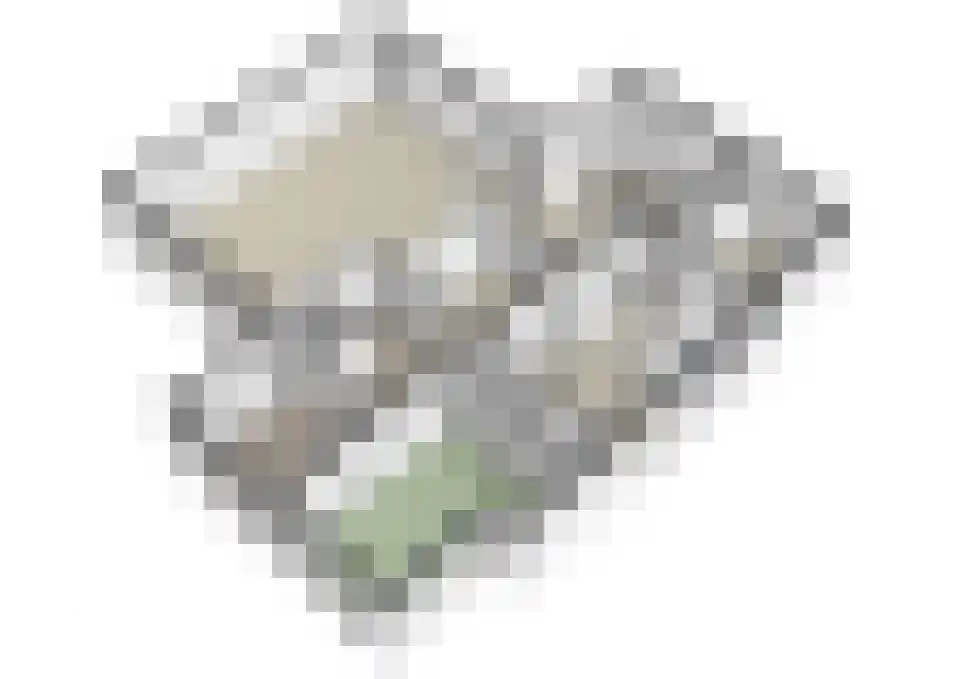 Warande 13 Rijsbergen thumbnail 64