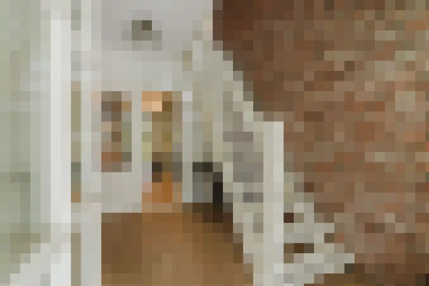 Warande 13 Rijsbergen thumbnail 9
