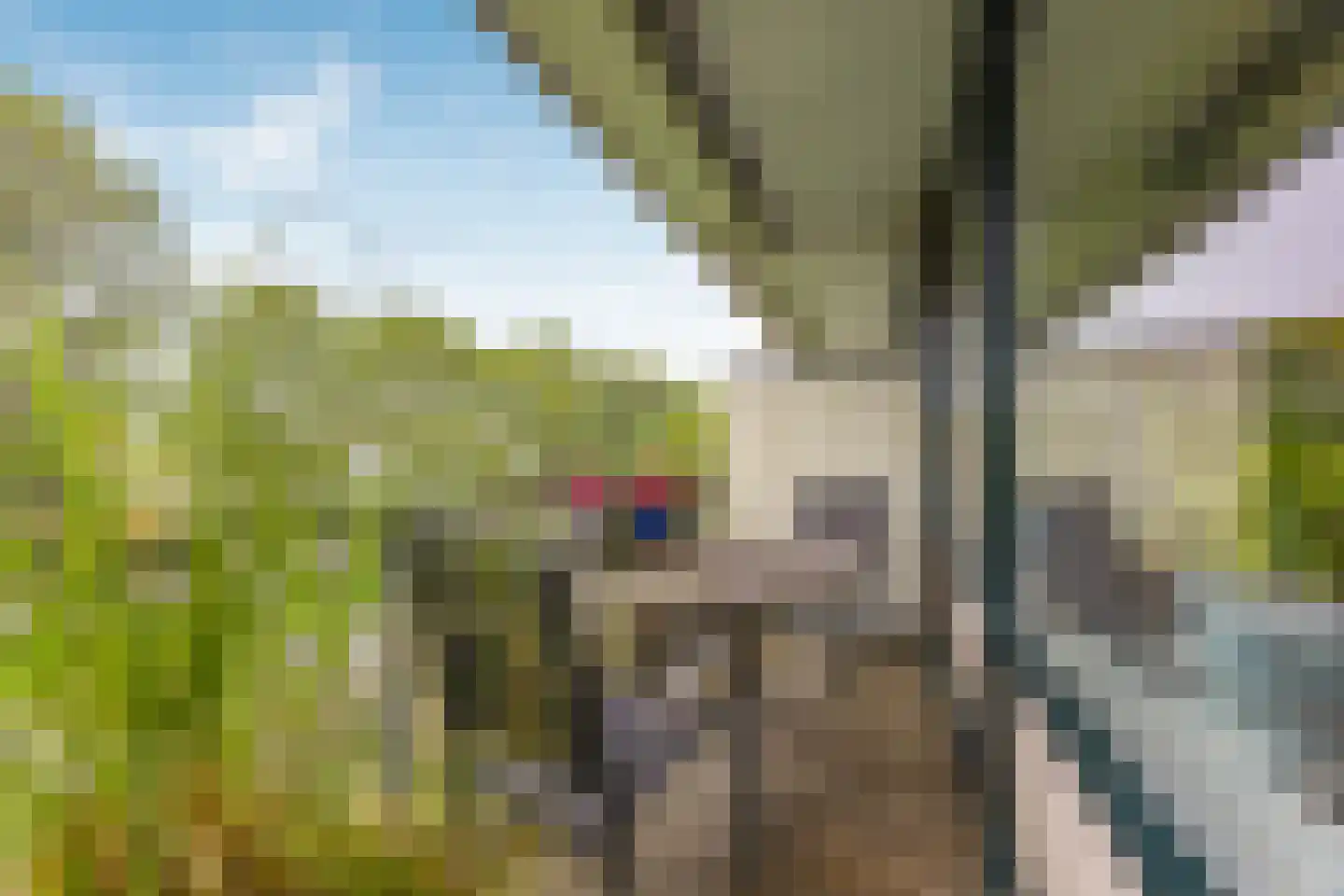Warande 137 Nieuw-Vennep thumbnail 11