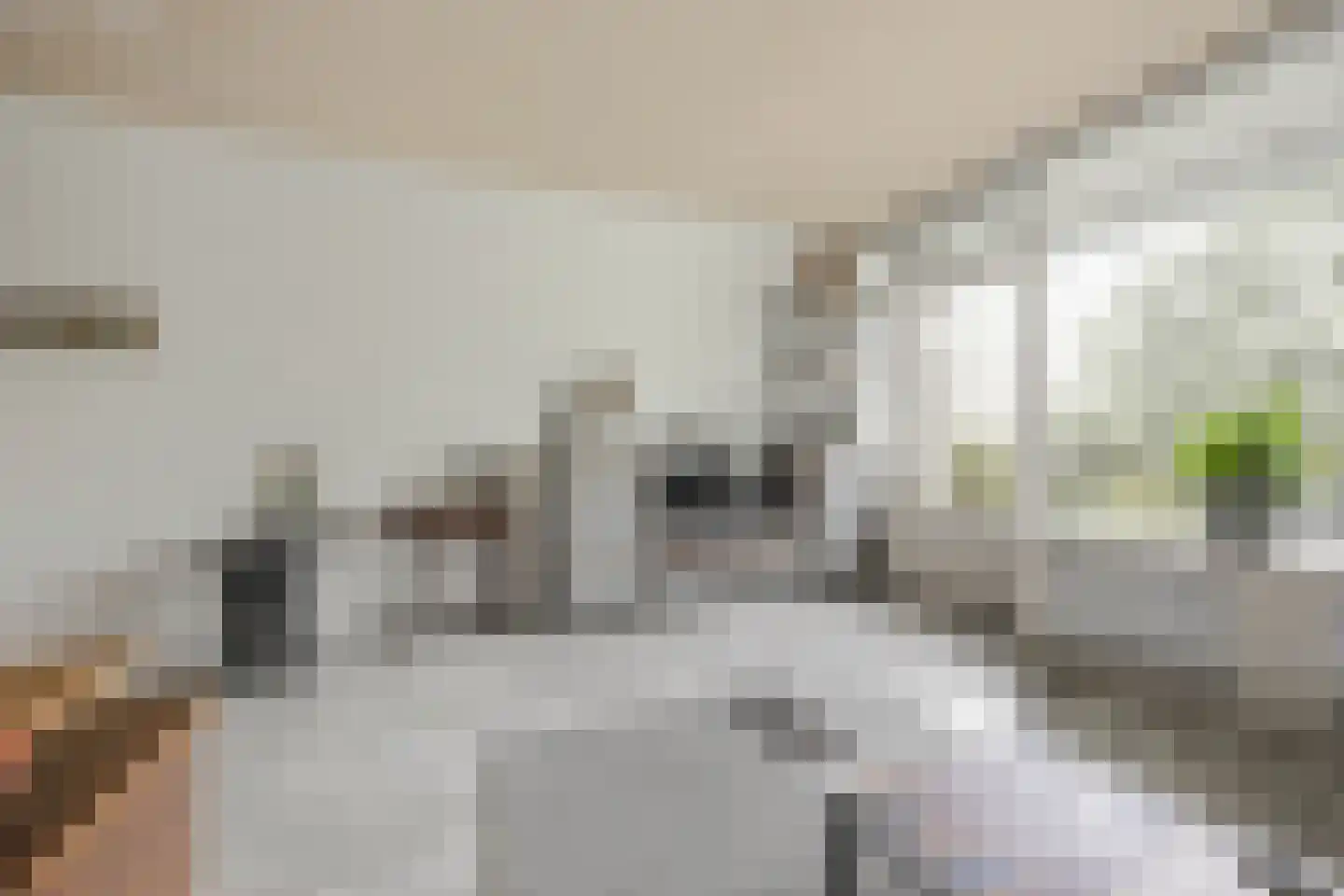 Warande 137 Nieuw-Vennep thumbnail 19