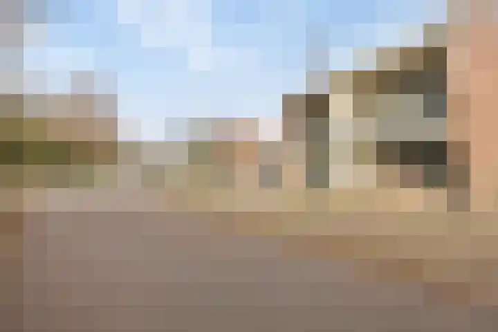 Warande 14 Epe thumbnail 15