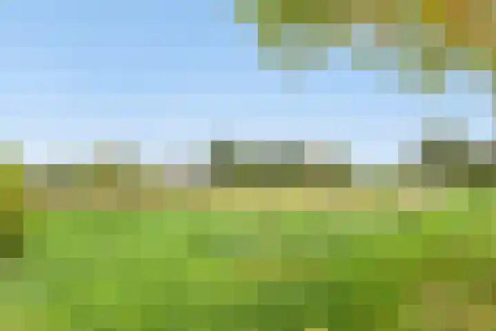 Warande 14 Epe thumbnail 17