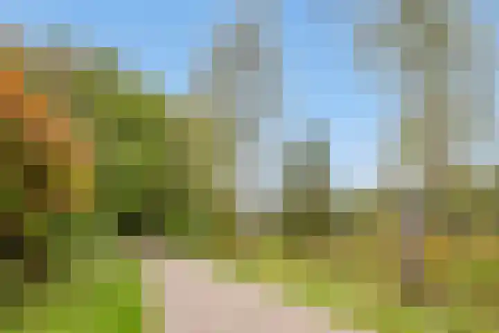 Warande 14 Epe thumbnail 18
