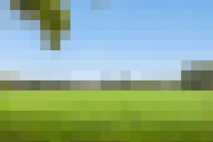 Warande 14 Epe thumbnail 19