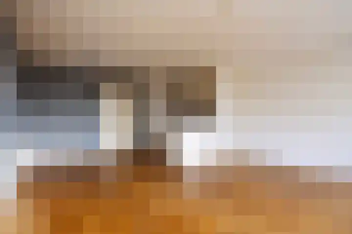 Warande 14 Epe thumbnail 8