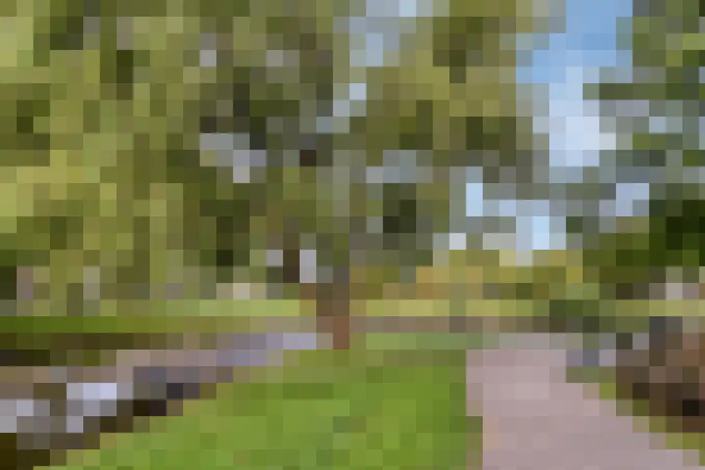 Warande 141 Nieuw-Vennep thumbnail 32