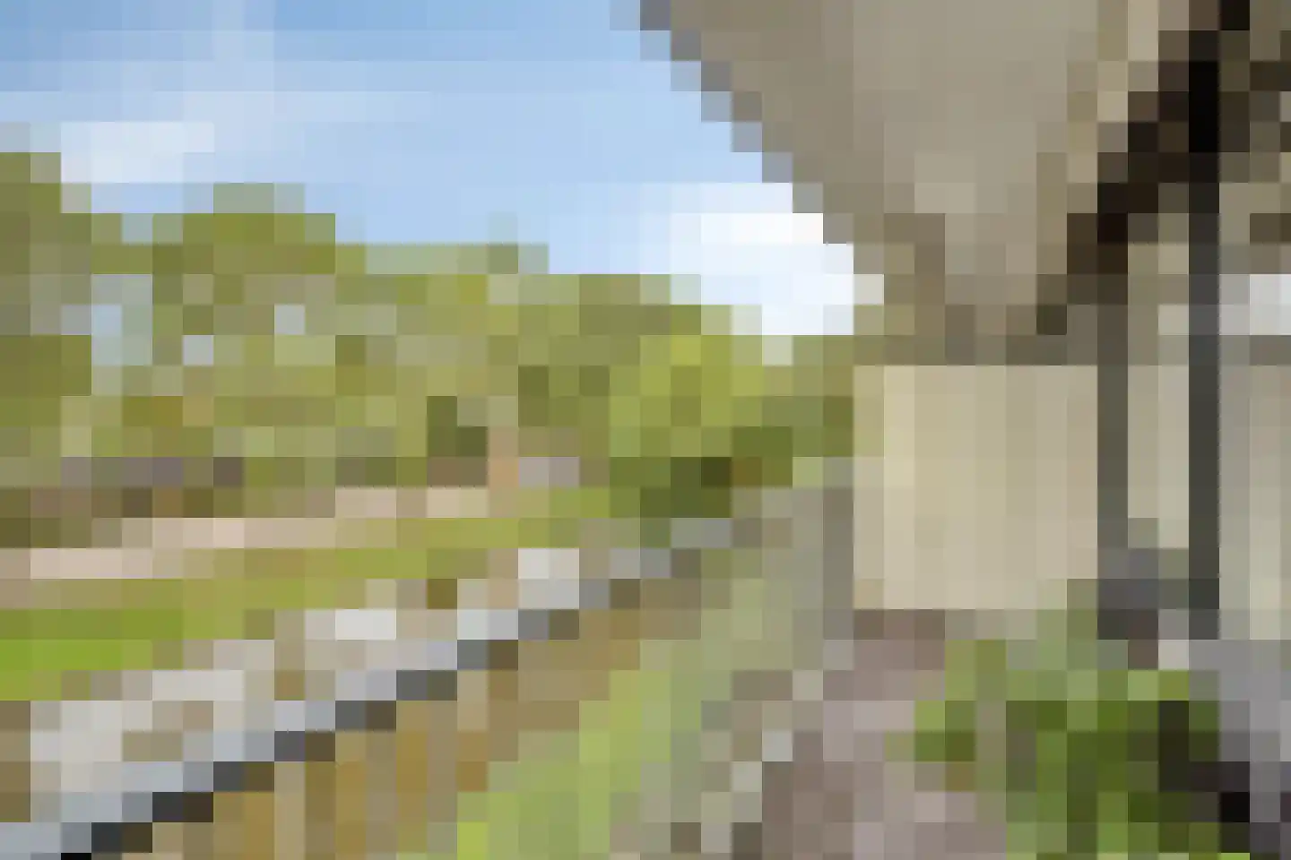 Warande 141 Nieuw-Vennep thumbnail 5