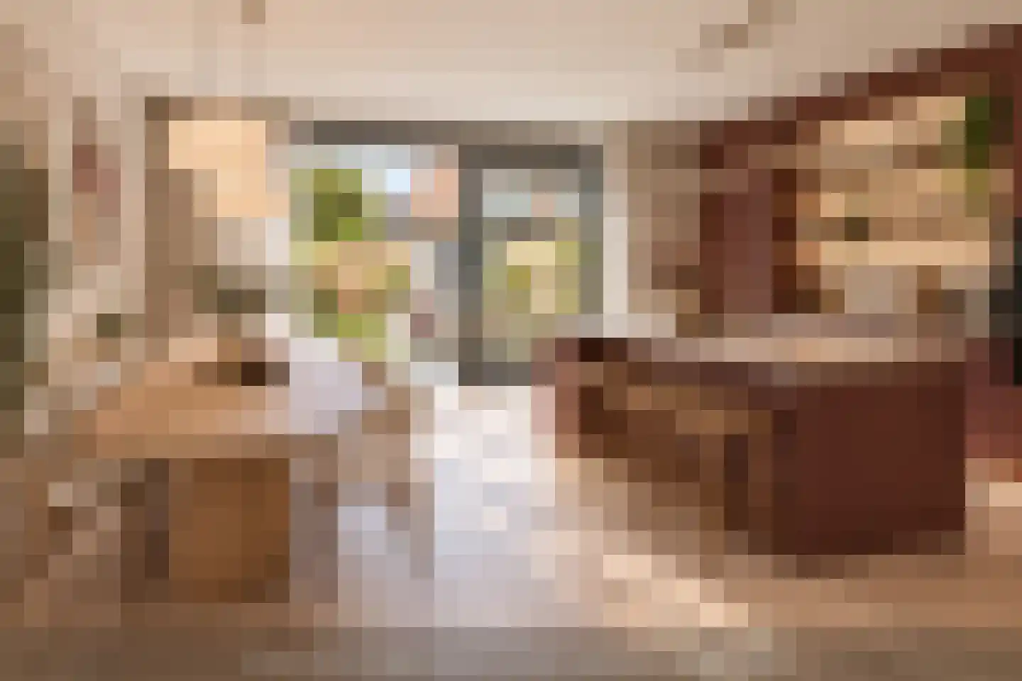Warande 141 Schiedam thumbnail 13
