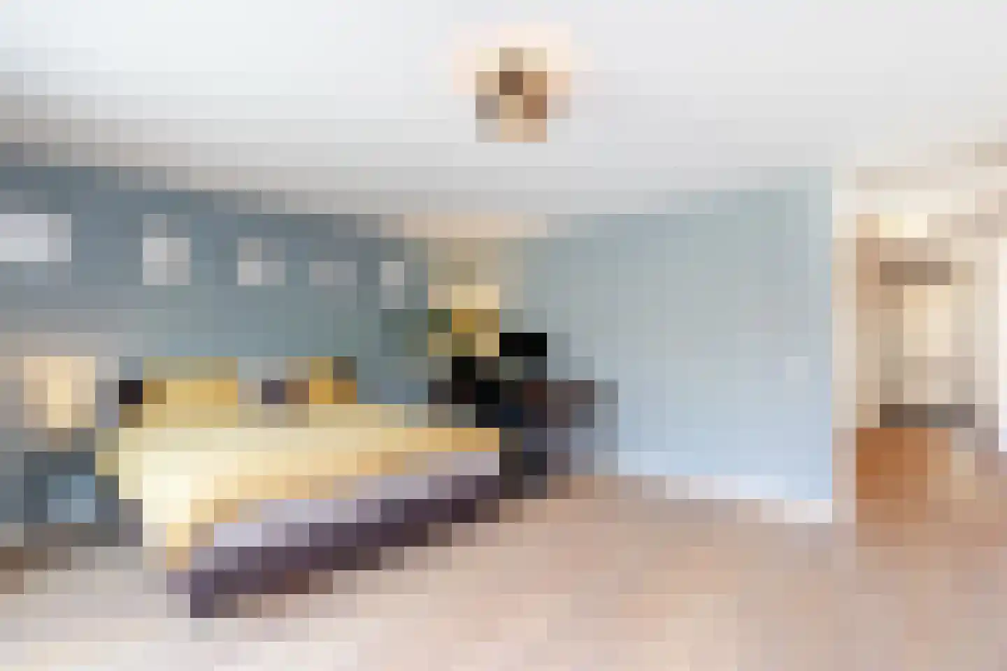 Warande 141 Schiedam thumbnail 19