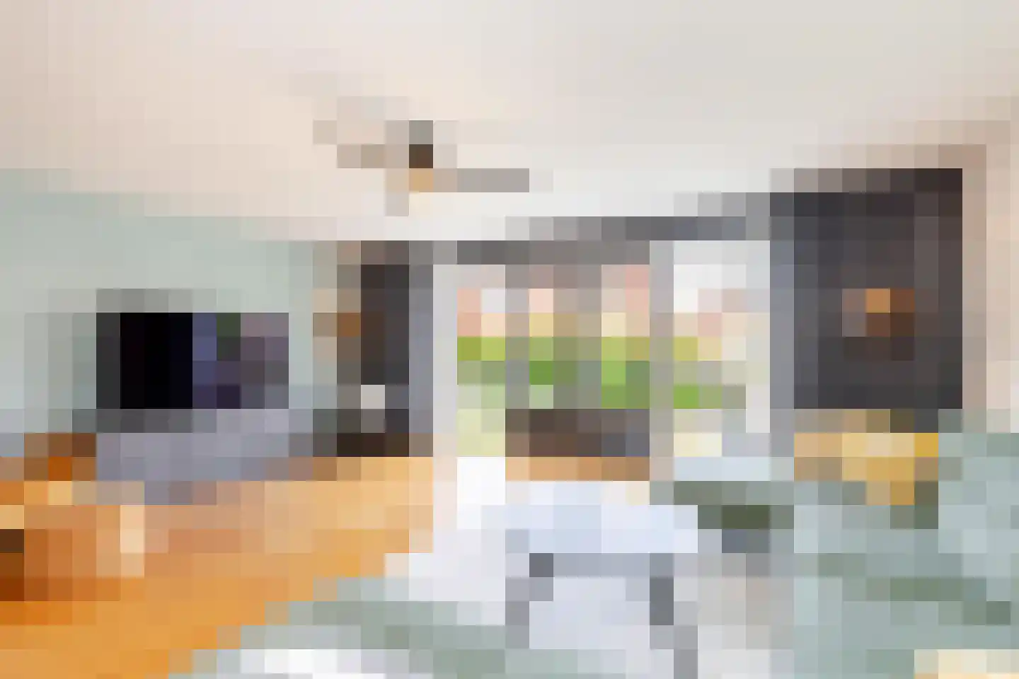 Warande 141 Schiedam thumbnail 26