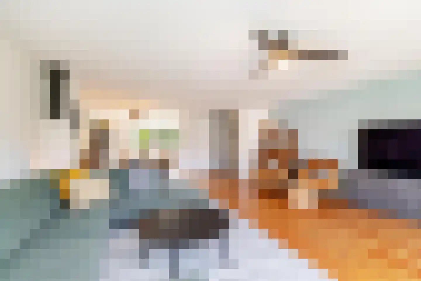Warande 141 Schiedam thumbnail 27
