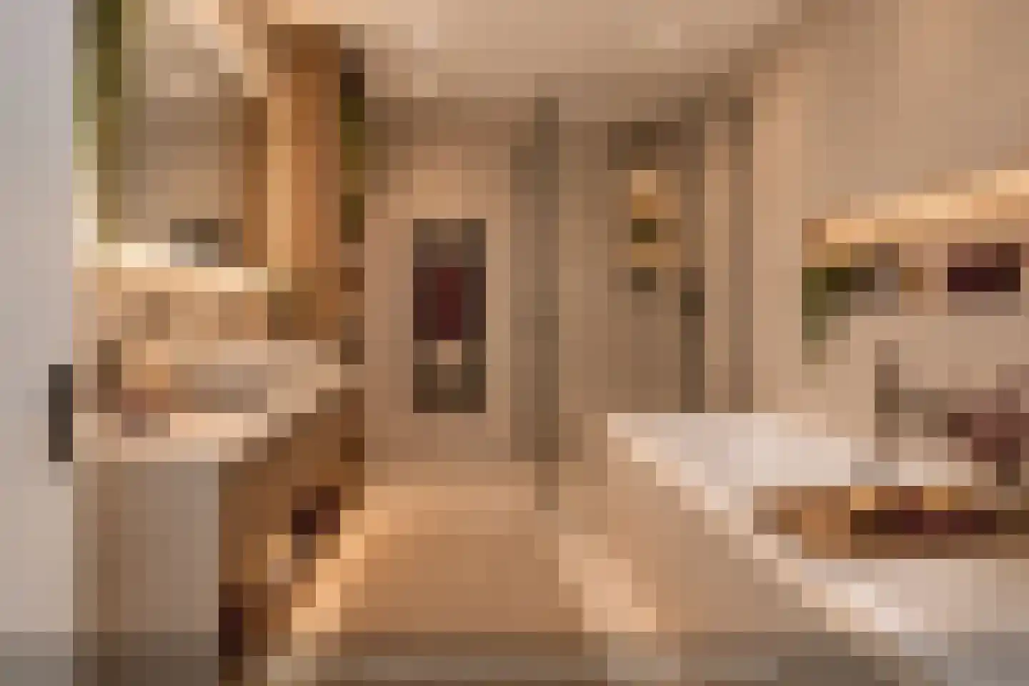 Warande 141 Schiedam thumbnail 47
