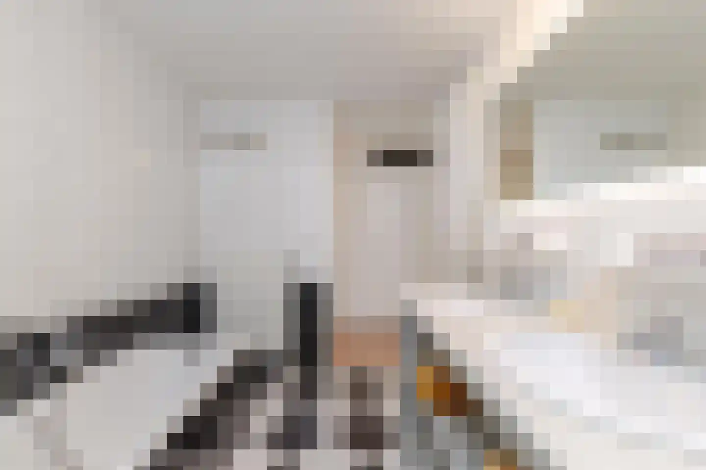 Warande 141 Schiedam thumbnail 49