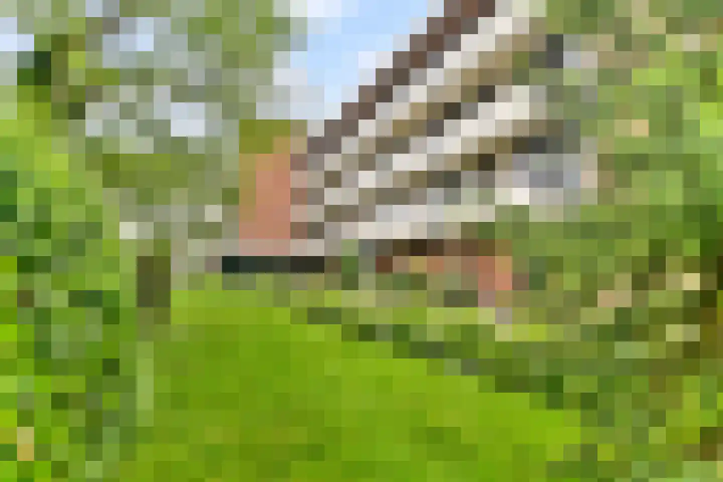Warande 169 Nieuw-Vennep thumbnail 29