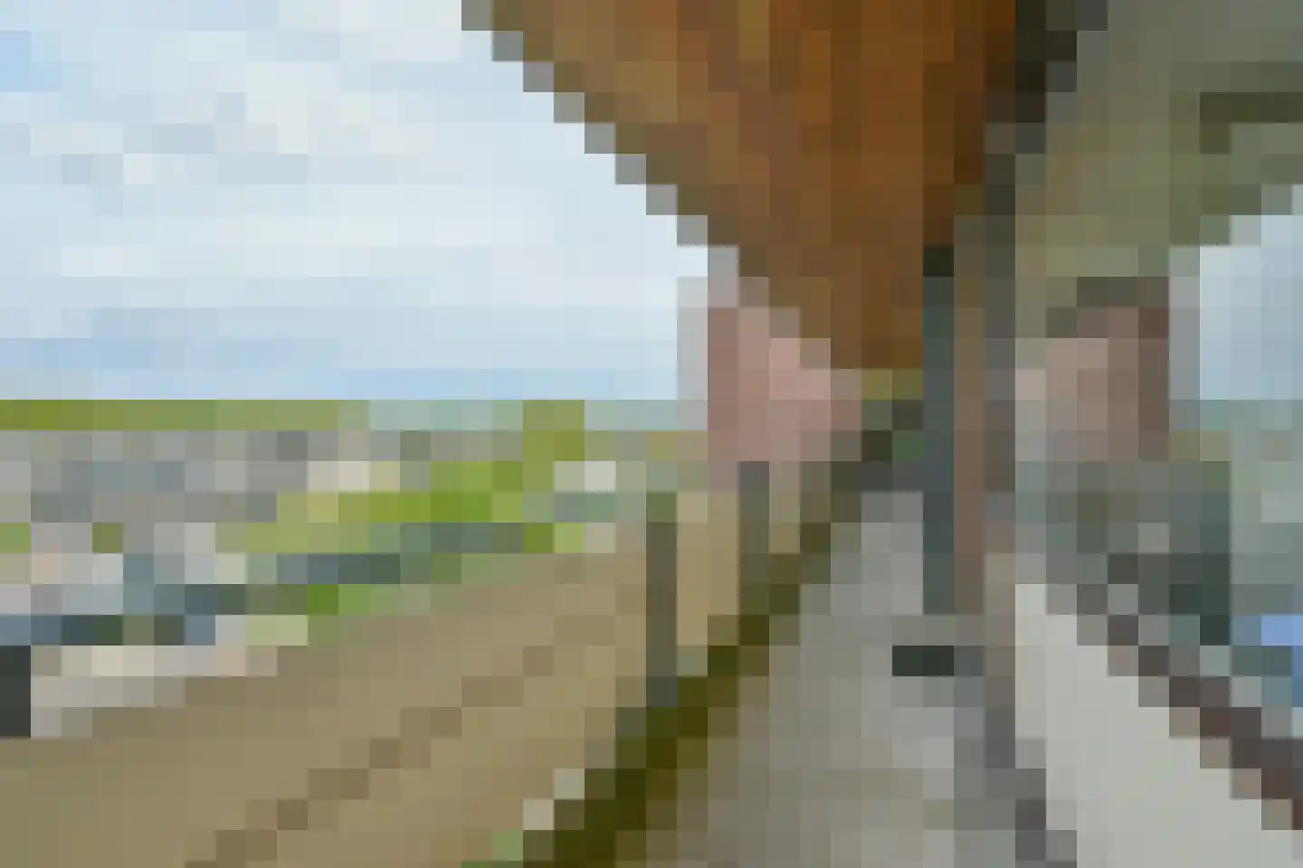 Warande 169 Nieuw-Vennep thumbnail 6