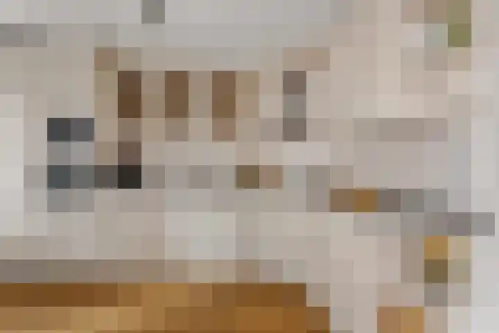 Warande 17 Borne thumbnail 11