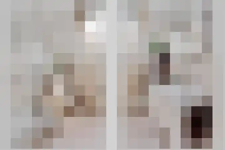 Warande 17 Borne thumbnail 13