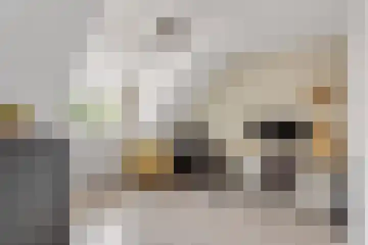Warande 17 Borne thumbnail 16