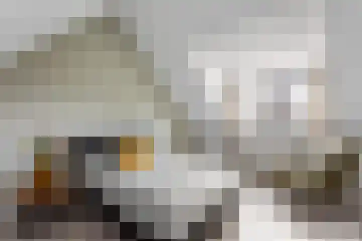Warande 17 Borne thumbnail 17