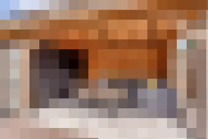 Warande 17 Borne thumbnail 21