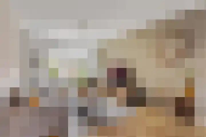 Warande 17 Borne thumbnail 8