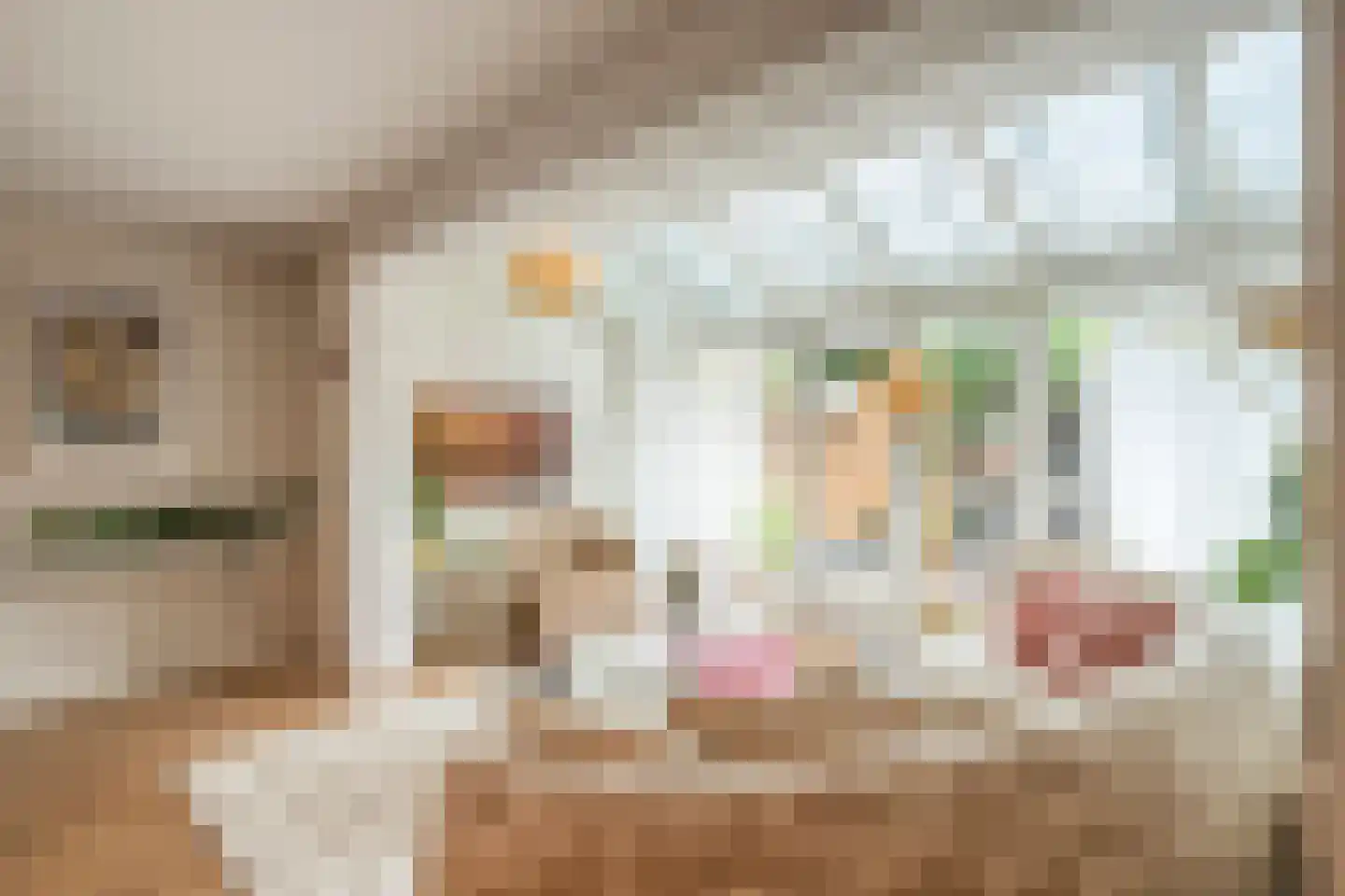 Warande 17 Epe thumbnail 12
