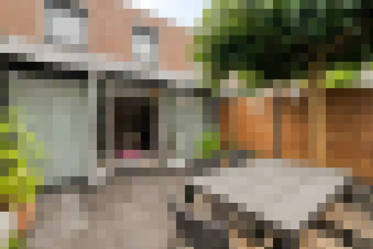 Warande 17 Epe thumbnail 27