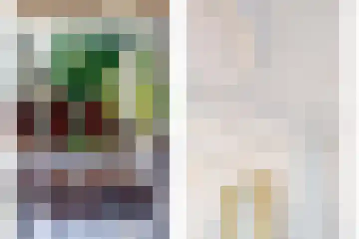 Warande 171 Schiedam thumbnail 17