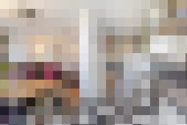 Warande 171 Schiedam thumbnail 19