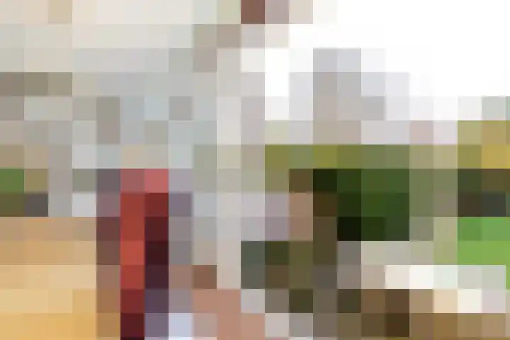 Warande 171 Schiedam thumbnail 22