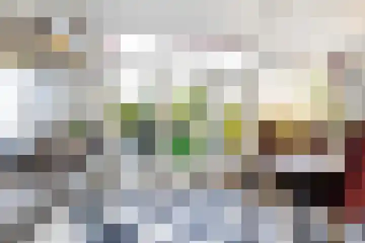 Warande 171 Schiedam thumbnail 23