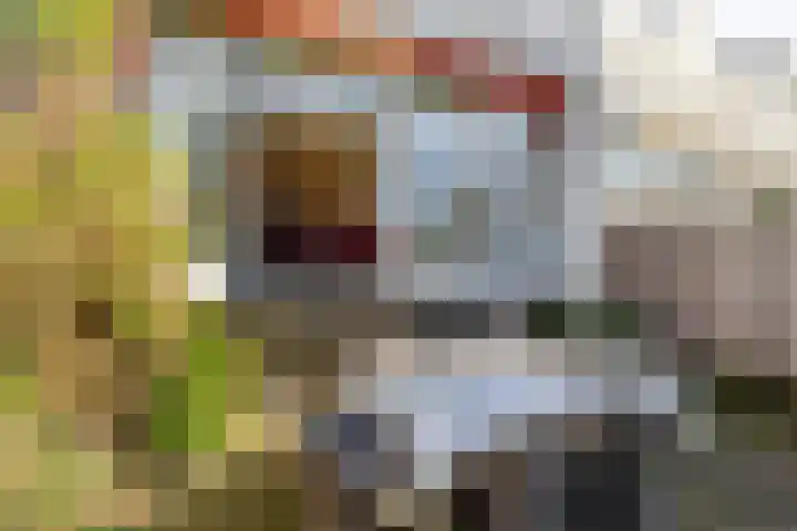 Warande 171 Schiedam thumbnail 28