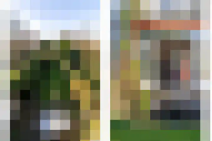 Warande 171 Schiedam thumbnail 30