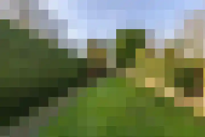 Warande 171 Schiedam thumbnail 33