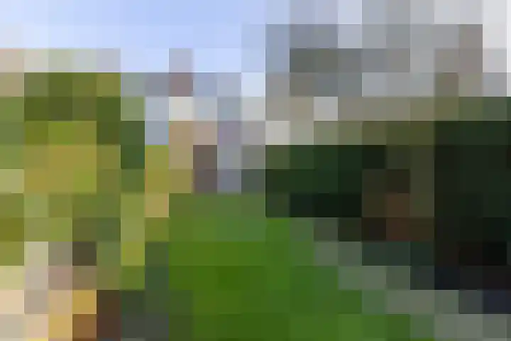 Warande 171 Schiedam thumbnail 34