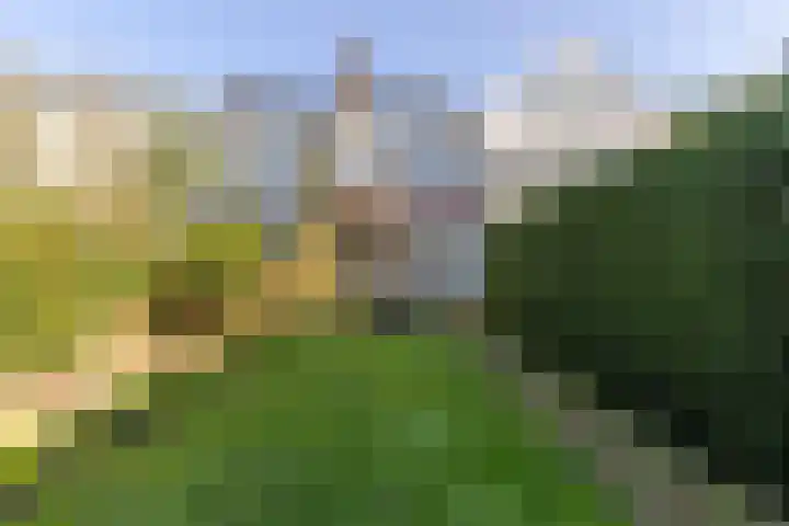 Warande 171 Schiedam thumbnail 35