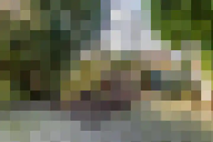 Warande 171 Schiedam thumbnail 37