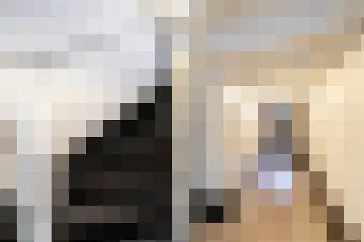 Warande 171 Schiedam thumbnail 41
