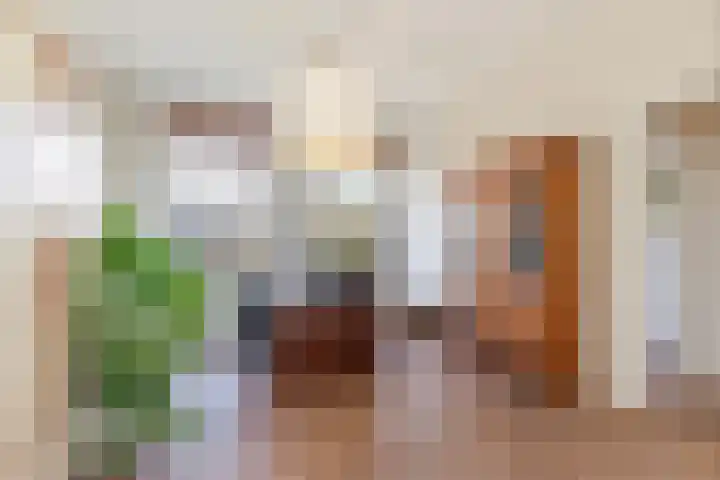 Warande 171 Schiedam thumbnail 49
