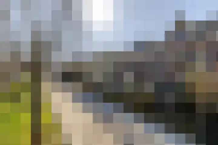 Warande 171 Schiedam thumbnail 5