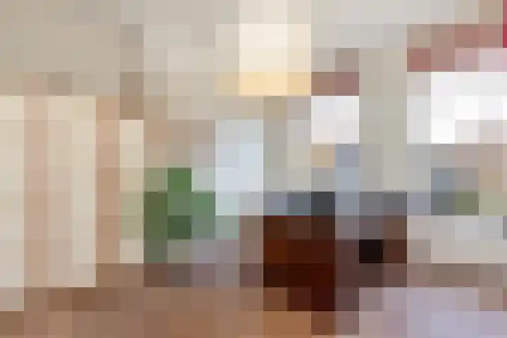 Warande 171 Schiedam thumbnail 50