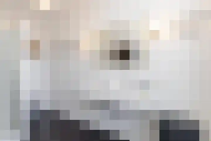 Warande 171 Schiedam thumbnail 60