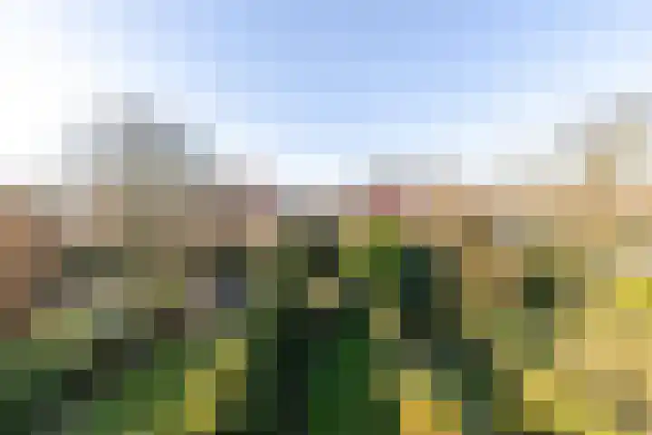 Warande 171 Schiedam thumbnail 68