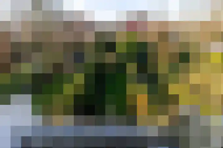 Warande 171 Schiedam thumbnail 69