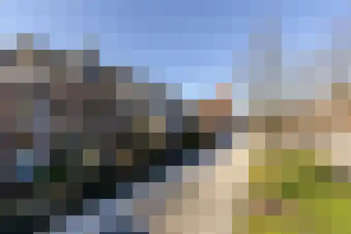 Warande 171 Schiedam thumbnail 76