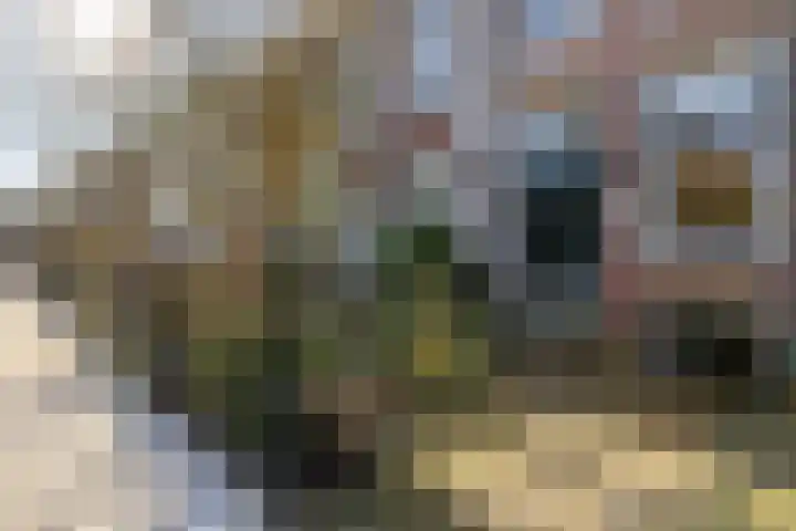 Warande 171 Schiedam thumbnail 8