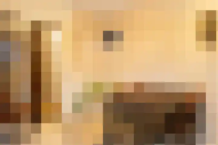 Warande 18 Ede thumbnail 11