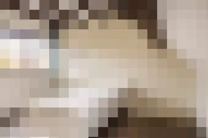 Warande 18 Ede thumbnail 22