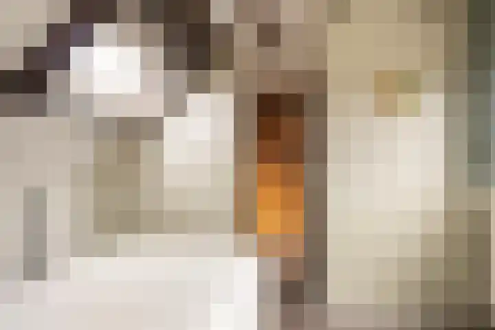 Warande 18 Ede thumbnail 23